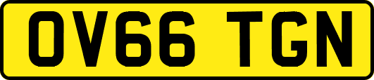 OV66TGN