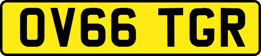 OV66TGR