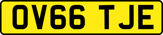 OV66TJE
