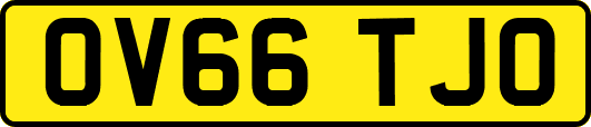 OV66TJO
