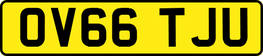 OV66TJU
