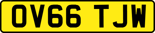 OV66TJW