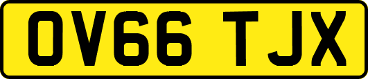 OV66TJX