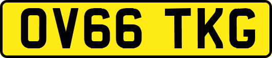 OV66TKG