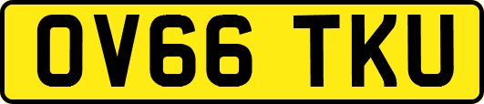 OV66TKU