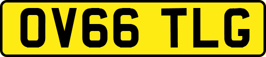 OV66TLG