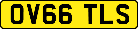OV66TLS