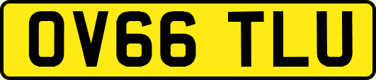 OV66TLU