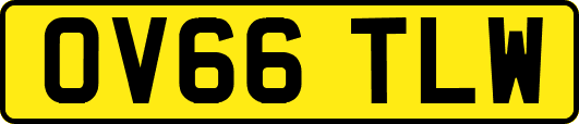 OV66TLW