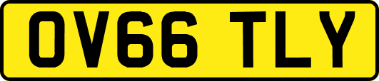 OV66TLY