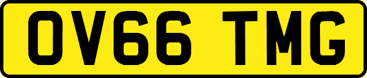 OV66TMG