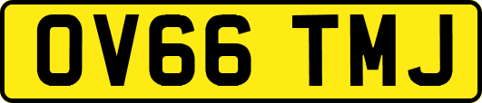 OV66TMJ