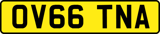 OV66TNA