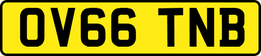 OV66TNB