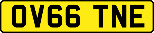 OV66TNE