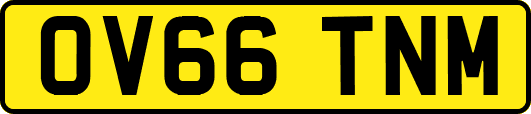 OV66TNM