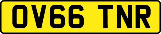 OV66TNR