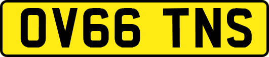 OV66TNS