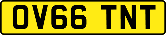 OV66TNT