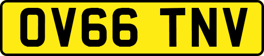 OV66TNV