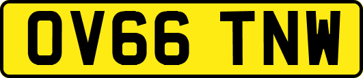 OV66TNW