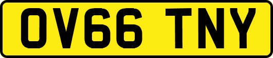 OV66TNY