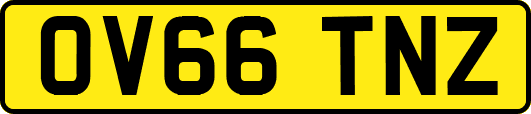 OV66TNZ