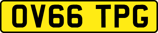 OV66TPG