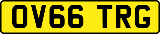 OV66TRG