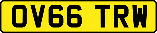OV66TRW