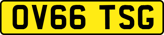 OV66TSG