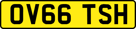 OV66TSH
