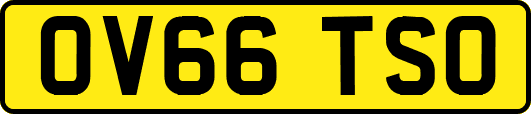 OV66TSO