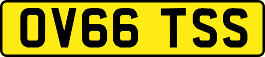 OV66TSS