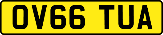 OV66TUA