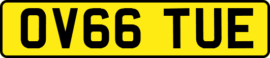 OV66TUE