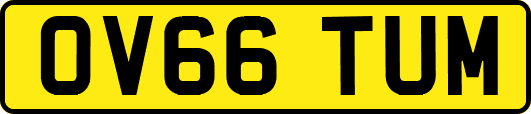 OV66TUM