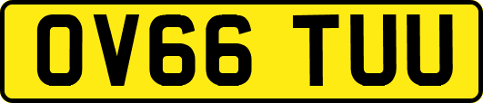 OV66TUU