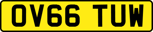 OV66TUW