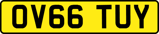 OV66TUY