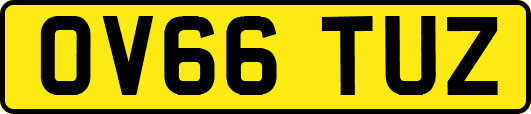 OV66TUZ