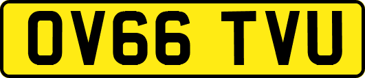 OV66TVU
