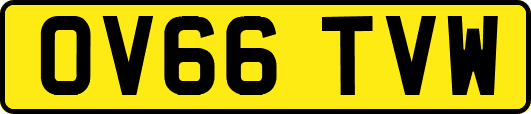 OV66TVW