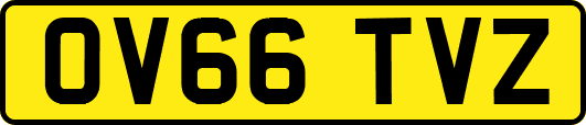 OV66TVZ