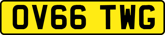 OV66TWG
