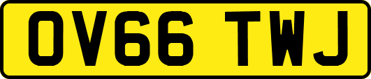 OV66TWJ
