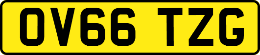 OV66TZG