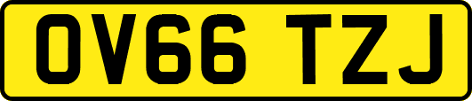 OV66TZJ