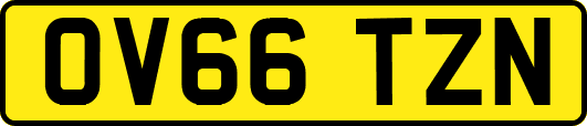 OV66TZN