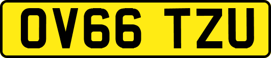 OV66TZU